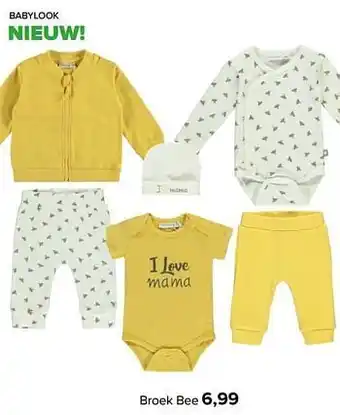 Broek bee