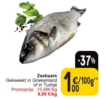 Cora Zeebaars aanbieding