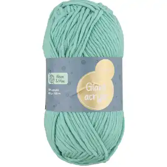 Action Alison & Mae breigaren Giant Acrylic aanbieding