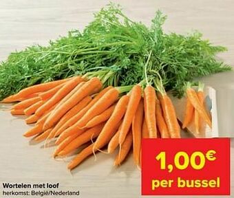 Wortelen met loof
