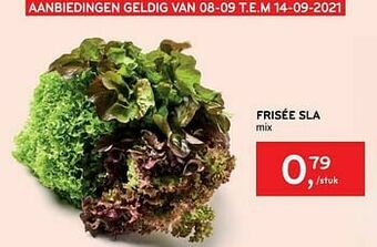 Alvo Frisée sla aanbieding