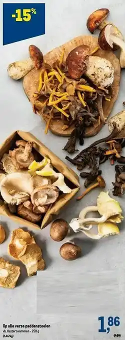 Makro Verse paddenstoelen oesterzwammen aanbieding