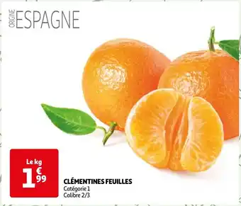 CLÉMENTINES FEUILLES