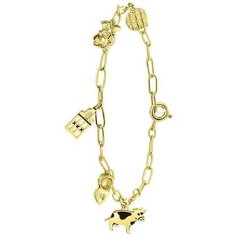 Bol.com Lucardi dames bedelarmband nederland - echt zilver - armband - cadeau - 19 cm - goudkleurig aanbieding
