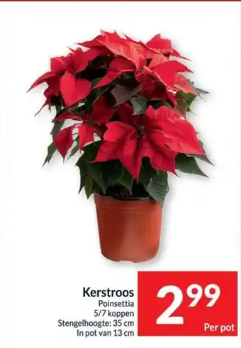 Kerstroos