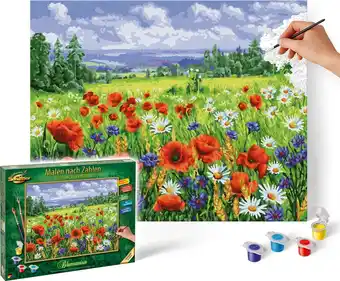 Schipper schilderen op nummer - bloemenveld - hobbypakket