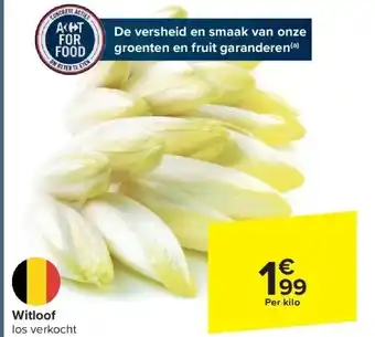 Witloof