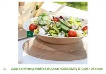 Diep bord van palmblad
