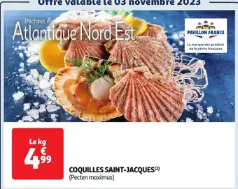 Auchan COQUILLES SAINT-JACQUES aanbieding