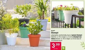 ALDI Bloempot aanbieding