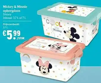 Delhaize Mickey + minnie opbergdoos disney aanbieding