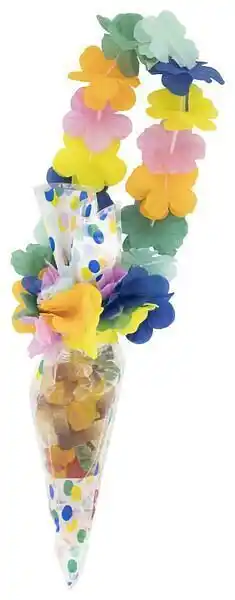 HEMA HEMA Puntzak Met Hawai Ketting aanbieding