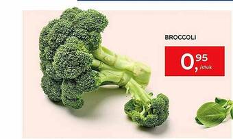Alvo Broccoli aanbieding