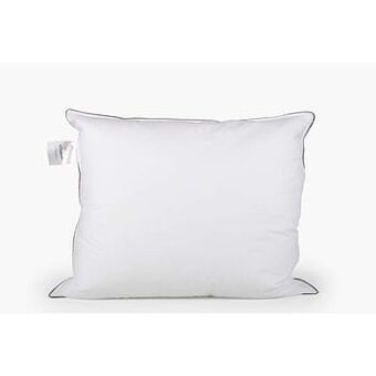 Leen Bakker Cinderella hoofdkussen Blues 2.0 - 60x70 cm - Leen Bakker aanbieding