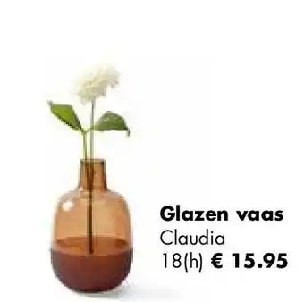 Europoint Glazen vaas aanbieding