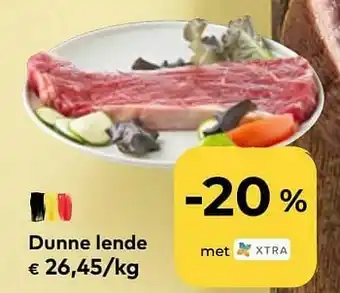 Dunne lende