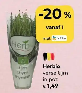 Herbio verse tijm