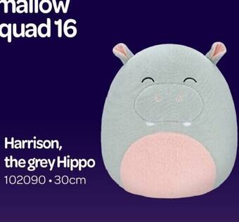 Happyland Harrison, the grey hippo aanbieding