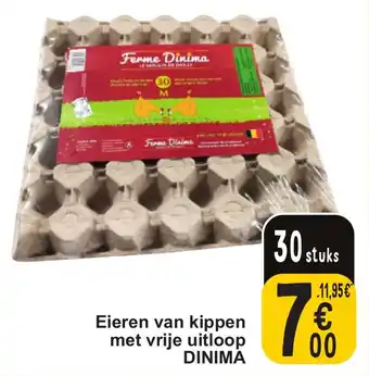 Cora Eieren van kippen met vrije uitloop DINIMA aanbieding