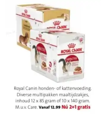 Intratuin Royal Canin honden- of kattenvoeding aanbieding