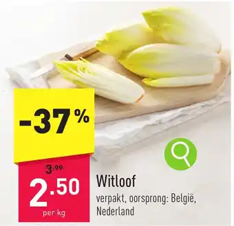 ALDI Witloof aanbieding