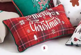 COUSSIN 30X50 CM