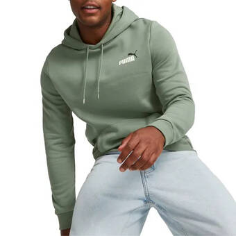 Plutosport Puma essentials+ 2 small logo hoodie heren aanbieding