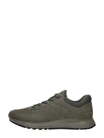 Ecco exostride m