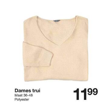 Zeeman Dames Trui aanbieding