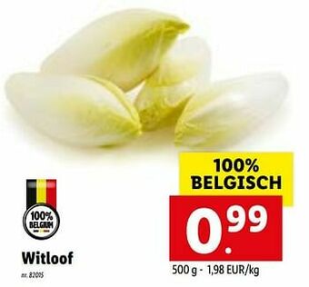 Lidl Witloof aanbieding