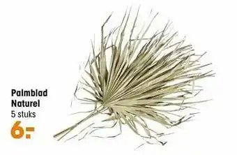 Kwantum Palmblad naturel aanbieding