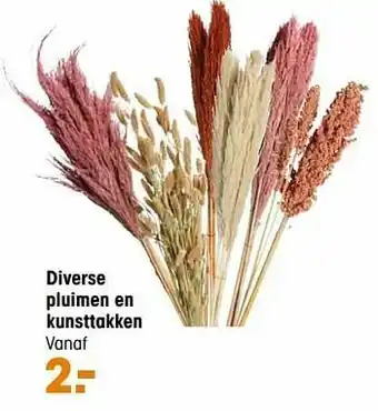 Kwantum Diverse pluimen en kunsttakken aanbieding