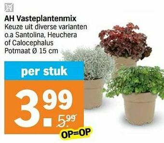 Albert Heijn Ah vasteplantenmix aanbieding