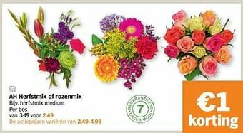 Herfstmix medium