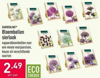 ALDI Bloembollen sierlook aanbieding