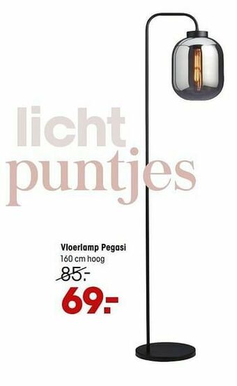 Kwantum Vloerlamp pegasi aanbieding