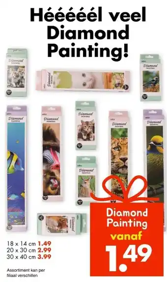 Wibra Diamond painting aanbieding