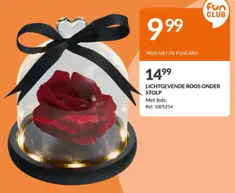 LICHTGEVENDE ROOS ONDER STOLP