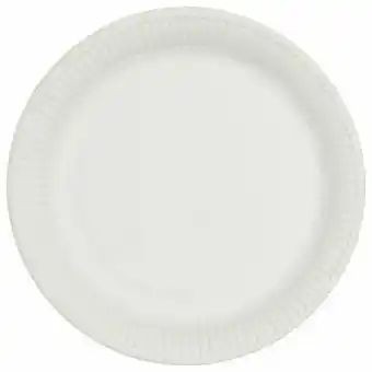 HEMA Borden Karton Ø22.6 Cm 20 Stuks
