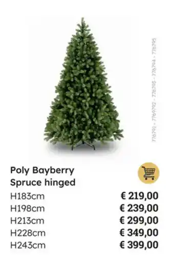 Poly Bayberry Spruce hinged