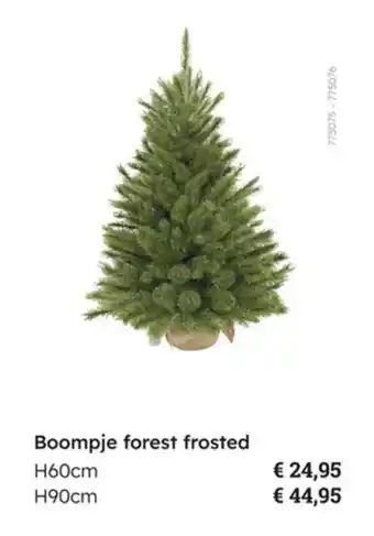Multi bazar Boompje forest frosted aanbieding