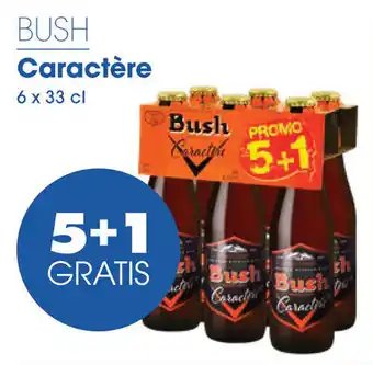 Prik en Tik BUSH Caractère 6 x 33 cl aanbieding