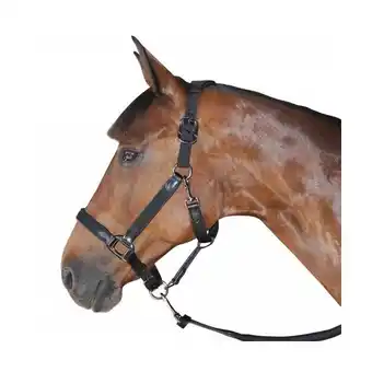 Decathlon Halster voor paarden nylon/leer flags&cup aanbieding
