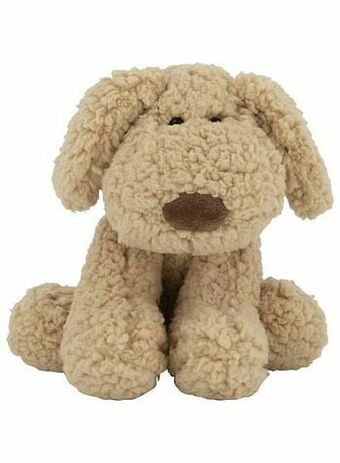 HEMA HEMA Knuffel Hond aanbieding