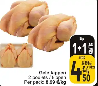 Gele kippen