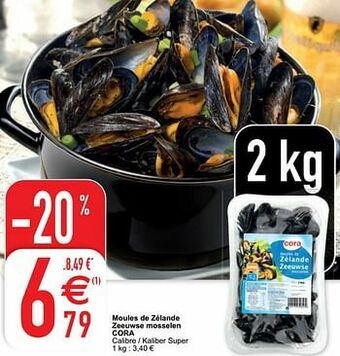 Moules de zélande zeeuwse mosselen cora