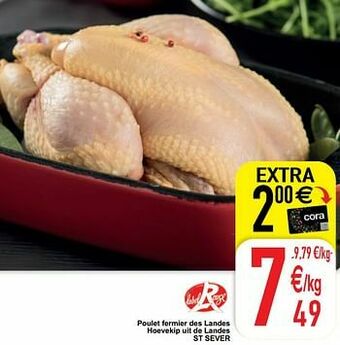 Poulet fermier des landes hoevekip uit de landes st sever