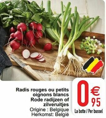 Radis rouges ou petits oignons blancs rode radijzen of zilveruitjes