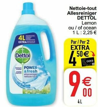 Nettoie-tout allesreiniger dettol