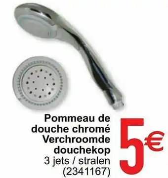 Pommeau de douche chromé verchroomde douchekop